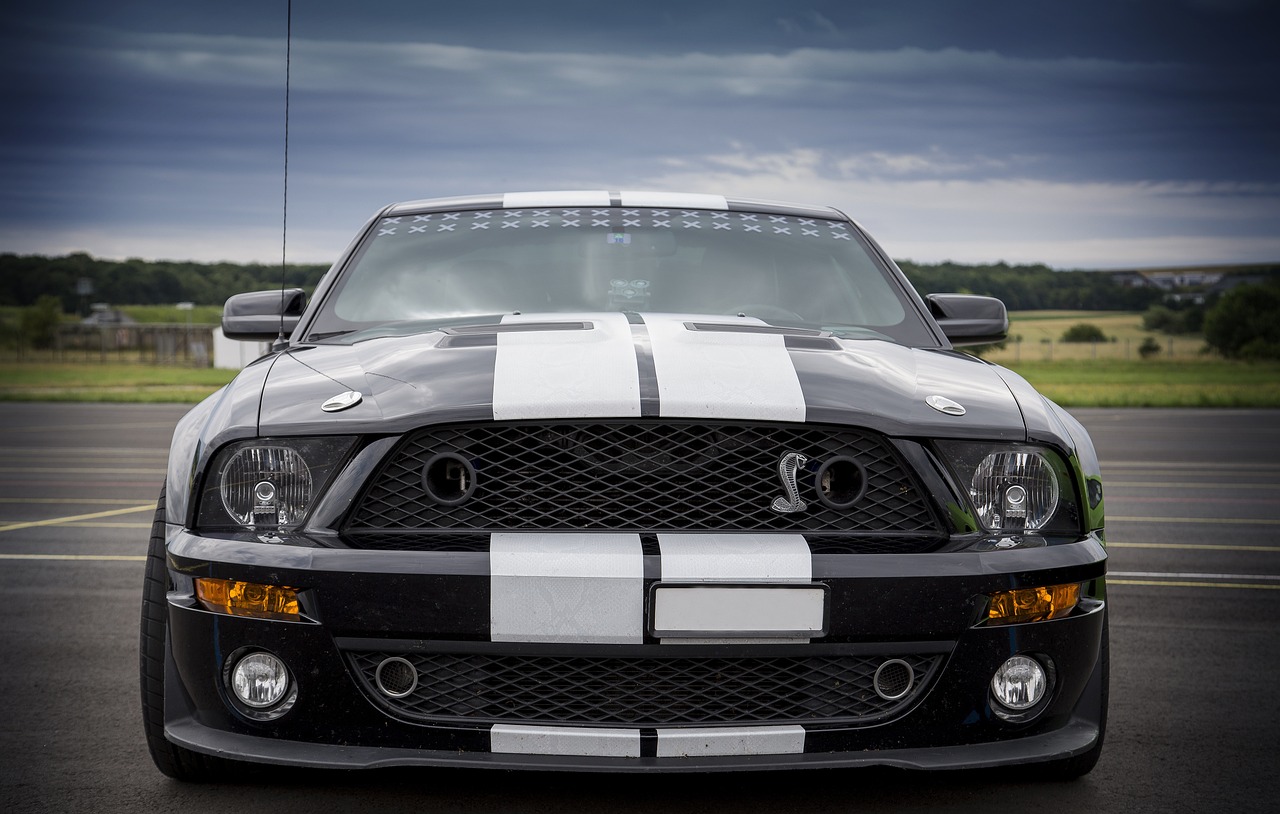 shelby, muscle car, car-3821709.jpg